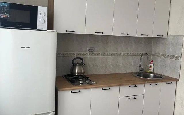 Квартира 1 комнатная центр