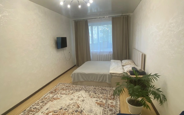 Квартира на Революционной 30