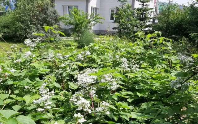 Частный Дом в Городе