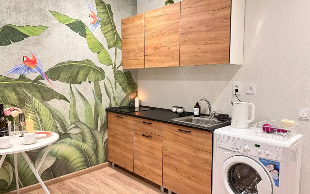 Квартира-Студия в ЖК Оазис на Телегина, 24 м², 16 этаж