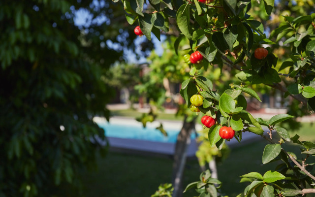 Вилла Casale della Pergola