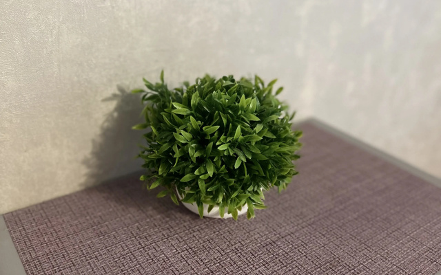 Квартира Уютная студия в новом ЖК Адмирал