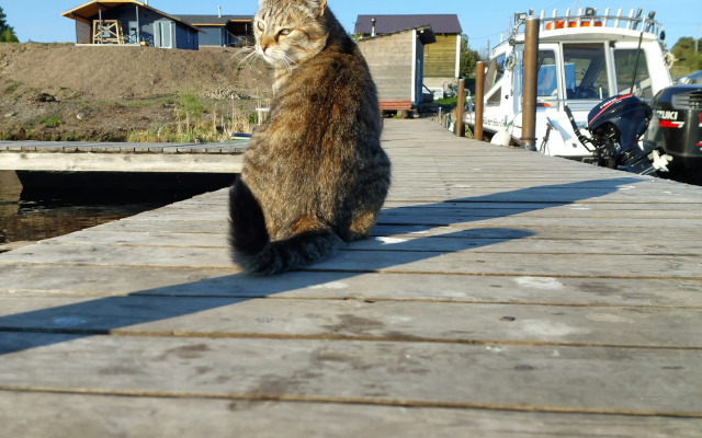 Коттеджный посёлок У Плотника