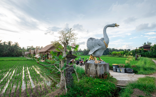 Отель Pondok Mawas