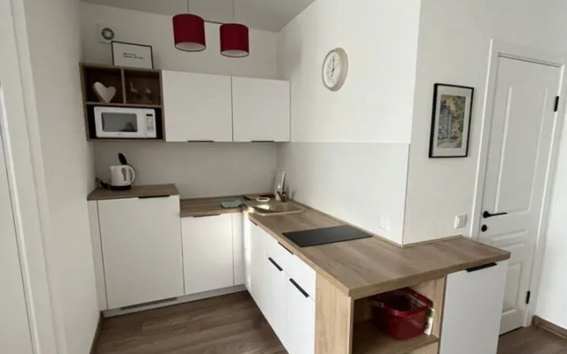 Квартира на Курортном Проспекте 14А (5)