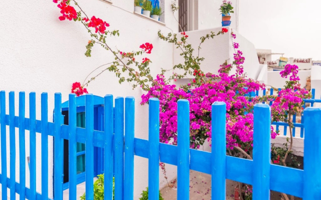 Отель Milos Inn