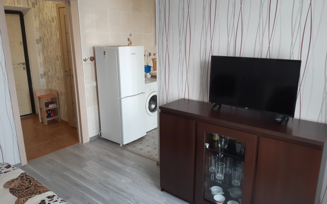 Квартира Золотой жук