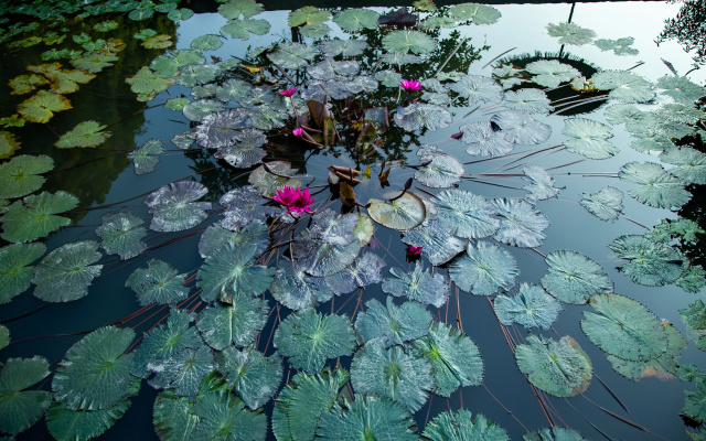 Гостевой Дом Ninh Binh Valle Montana Homestay