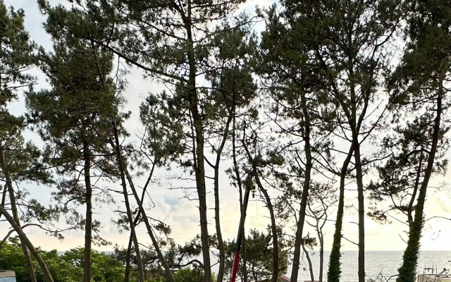 Grounds · Ureki — photo 18