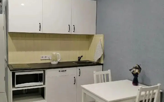 Квартира Студия на Колмовской Набережной 71Б