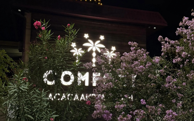 Comfort Hotel