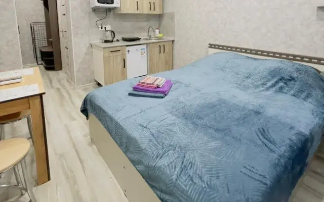 Квартира на Бульваре Ибрагимова 37 (1)