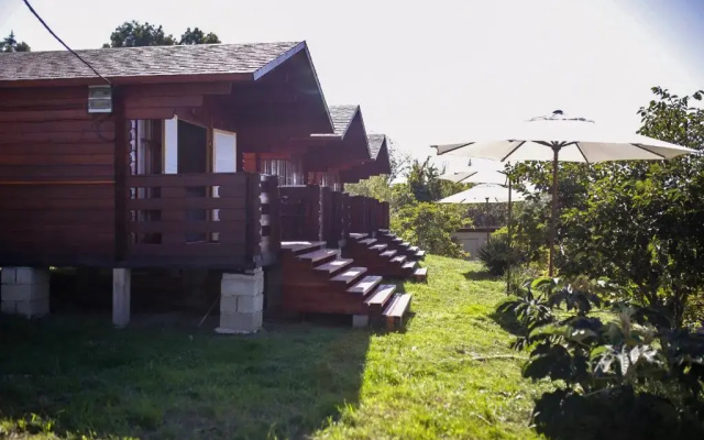 Гостевой дом Apsar Village