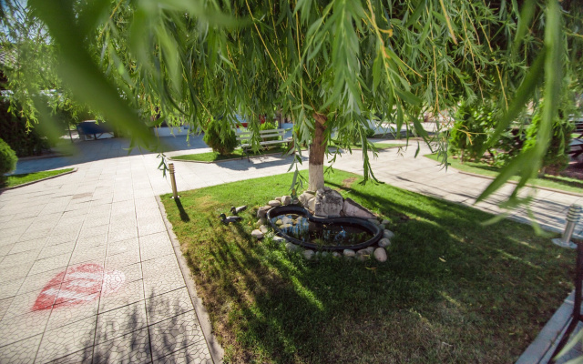 Отель Picnic Park