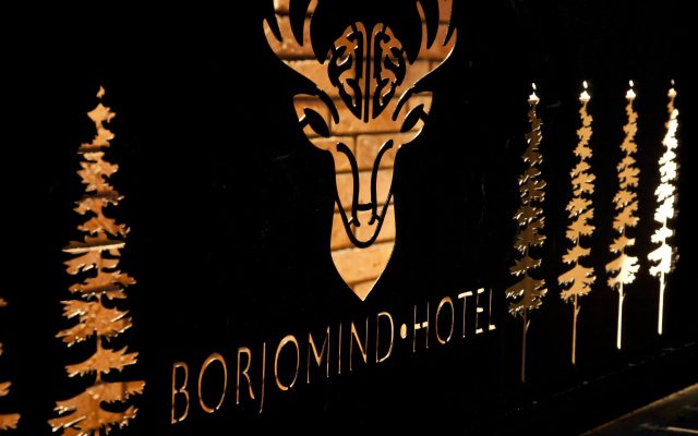 Отель BORJOMIND Hotel Borjomi