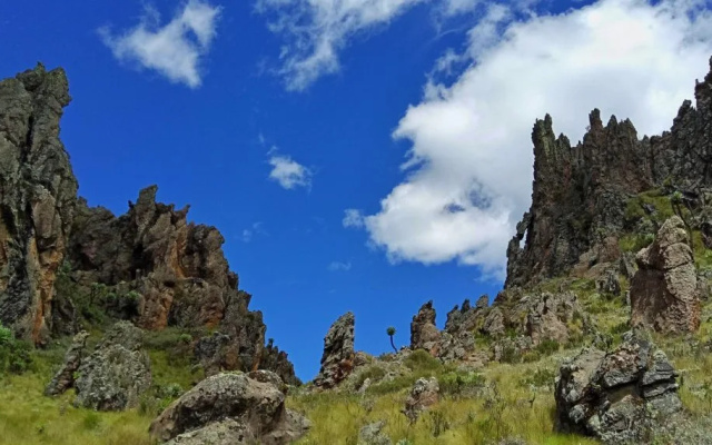 Гостевой дом Maverick Camp Rondavels and Homestay
