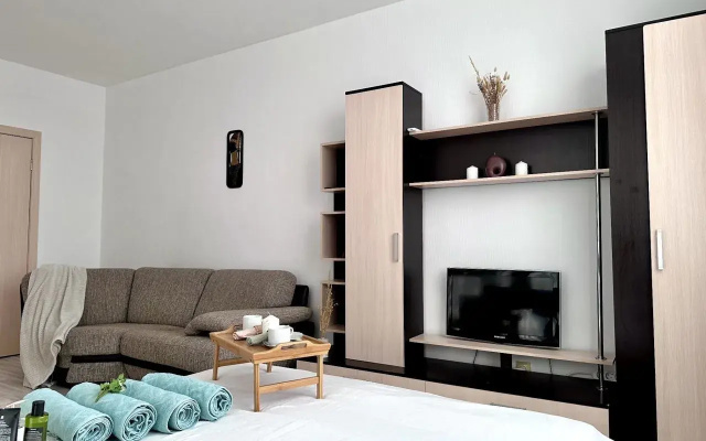 Квартира на улице Чкалова 231