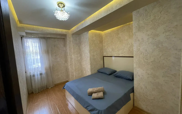 Апартаменты Perte House on Pushkin 43