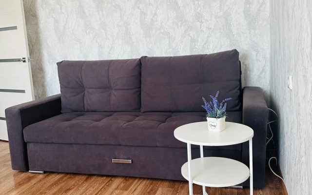 Квартира Алтайская 41