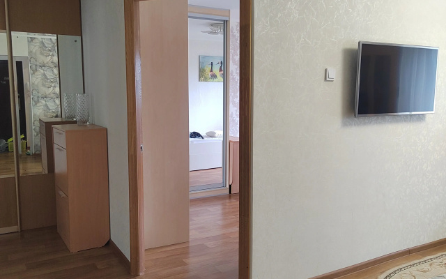 Квартира Большая уютная квартира