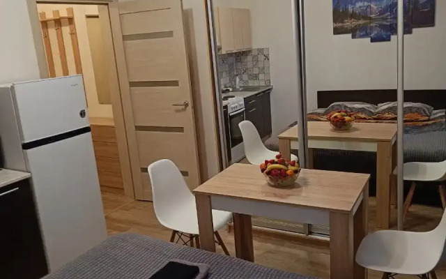 Квартира -студия 17,8 м²