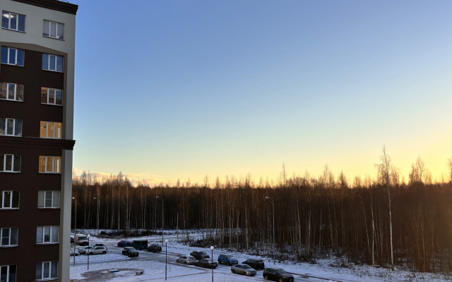 Квартира Уютная возле леса