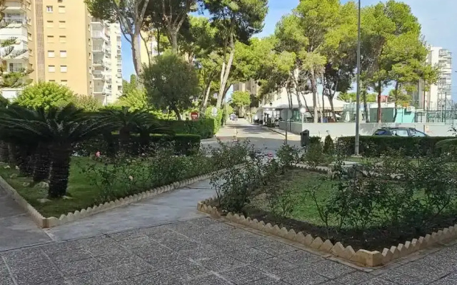 Апартаменты Studio Campoamor with sea view
