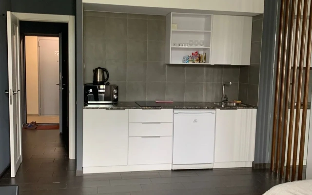 Квартира Apartanik