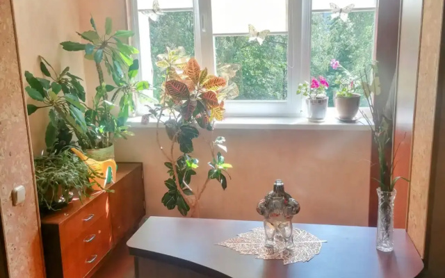 Квартира 3к на Кижеватова