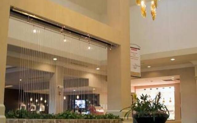 hilton garden inn lynchburg lynchburg united states of america zenhotels - Hilton Garden Inn Lynchburg Va hilton garden inn lynchburg lynchburg united states of america zenhotels - Hilton Garden Inn Lynchburg Va