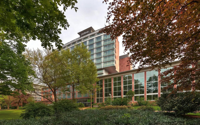 Отель Hilton Frankfurt City Centre популярное изображение
