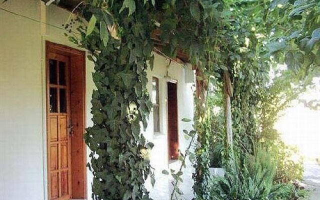 Cesur Pansiyon Турция, Чиралы - отзывы, цены и фото номеров - забронировать отель Cesur Pansiyon онлайн вид на фасад