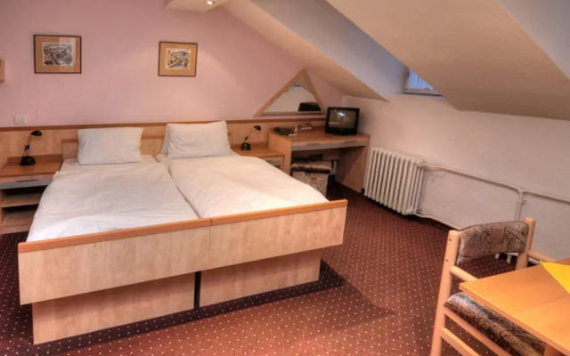 Hotel Krivan