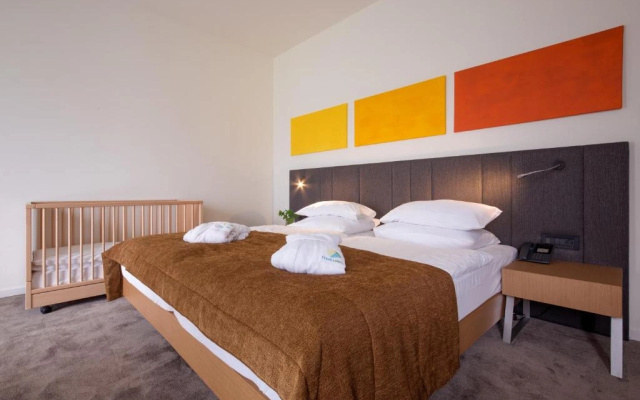 Terme Tuhelj hotel Well