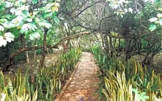 Sima de las Cotorras Lodge & Reserva Natural