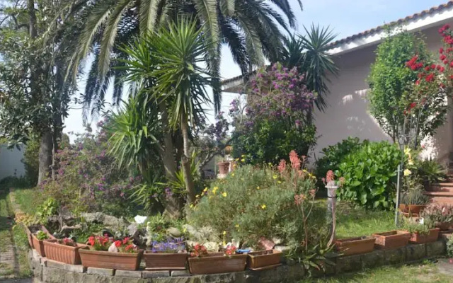 B&B Le Sei Palme