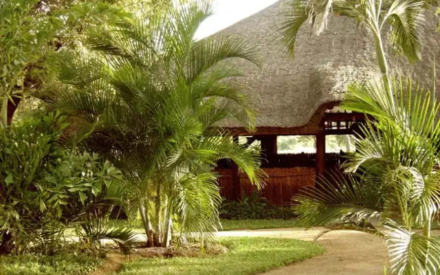 Kapama Southern Camp