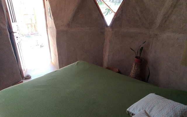 Hostel Casa Arbol