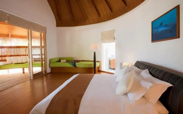 Niva Kuramathi Maldives