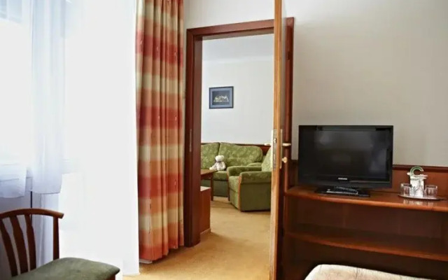 Отель Naturmed Hotel Carbona Венгрия, Хевиз - 2 отзыва об отеле, цены и фото номеров - забронировать отель Naturmed Hotel Carbona онлайн удобства в номере
