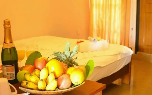 Alaya Inn