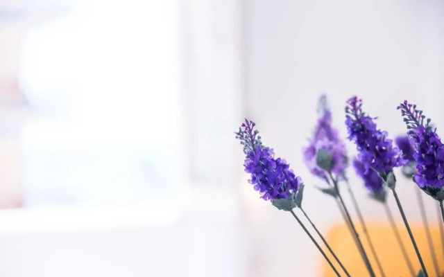 Апартаменты Divina Apartment Амальфи комната для гостей