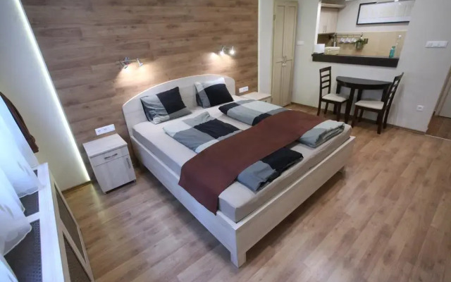Апартаменты Premium Studio in the Center комната для гостей