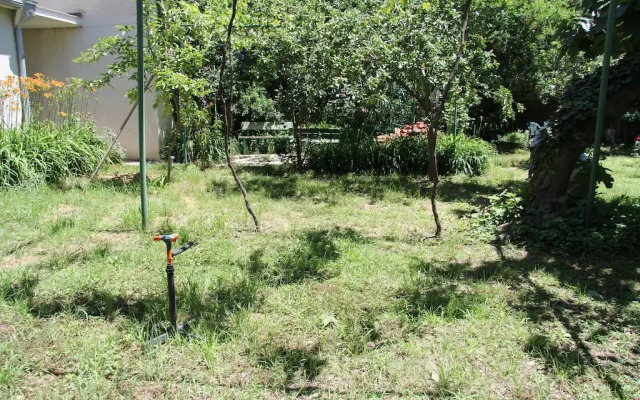 Отель Nika Guest house детские мероприятия