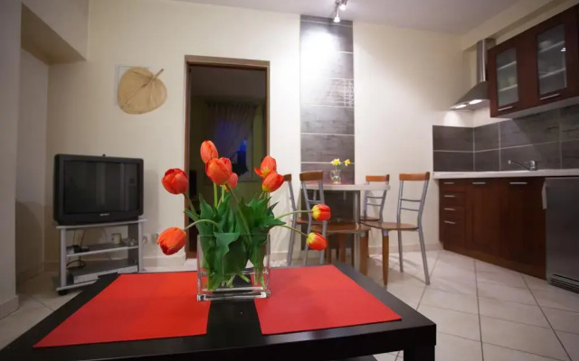 Отель Apartamenty U Młodych Закопане комната для гостей