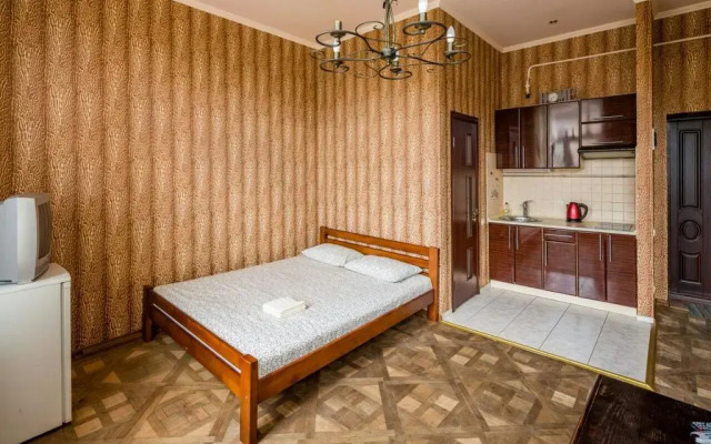 Апартаменты Studio on Kopernyka street комната для гостей
