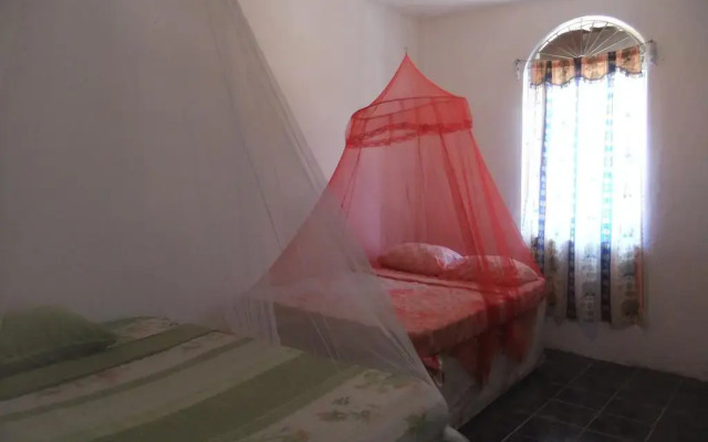 Garden Hostel комната для гостей