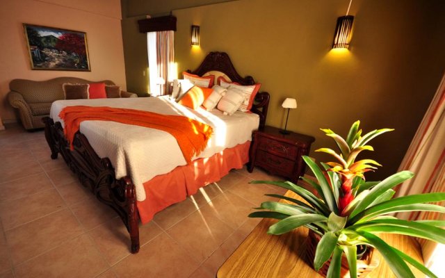 Bavaro Punta Cana Hotel Flamboyan 2