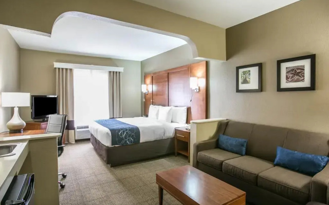 Comfort Suites Nw Lakeline In Austin United States Of America