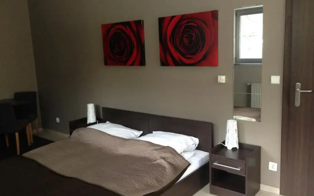 Отель Apartamenty Brzozowa - Centrum Закопане комната для гостей